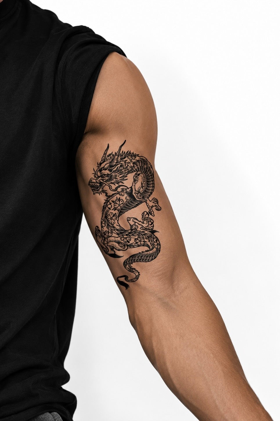Dragon & Ornamental Lines