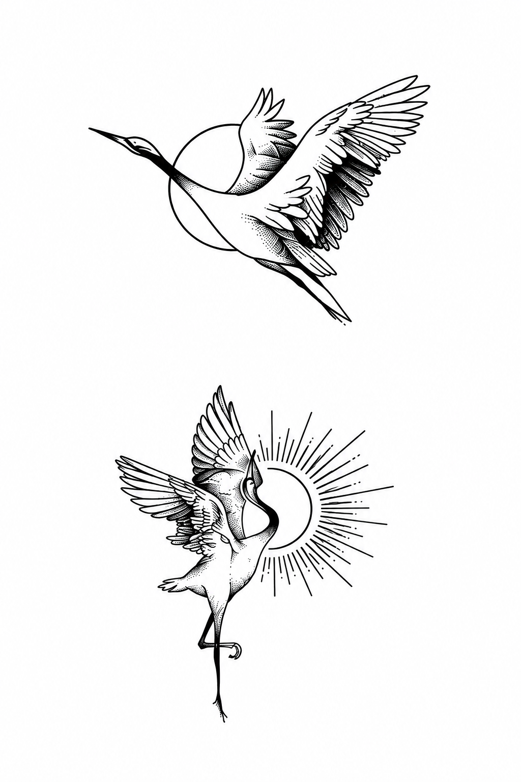 Hummingbird Spirit