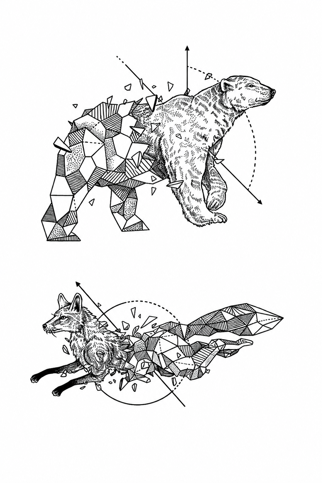 Wild Bear