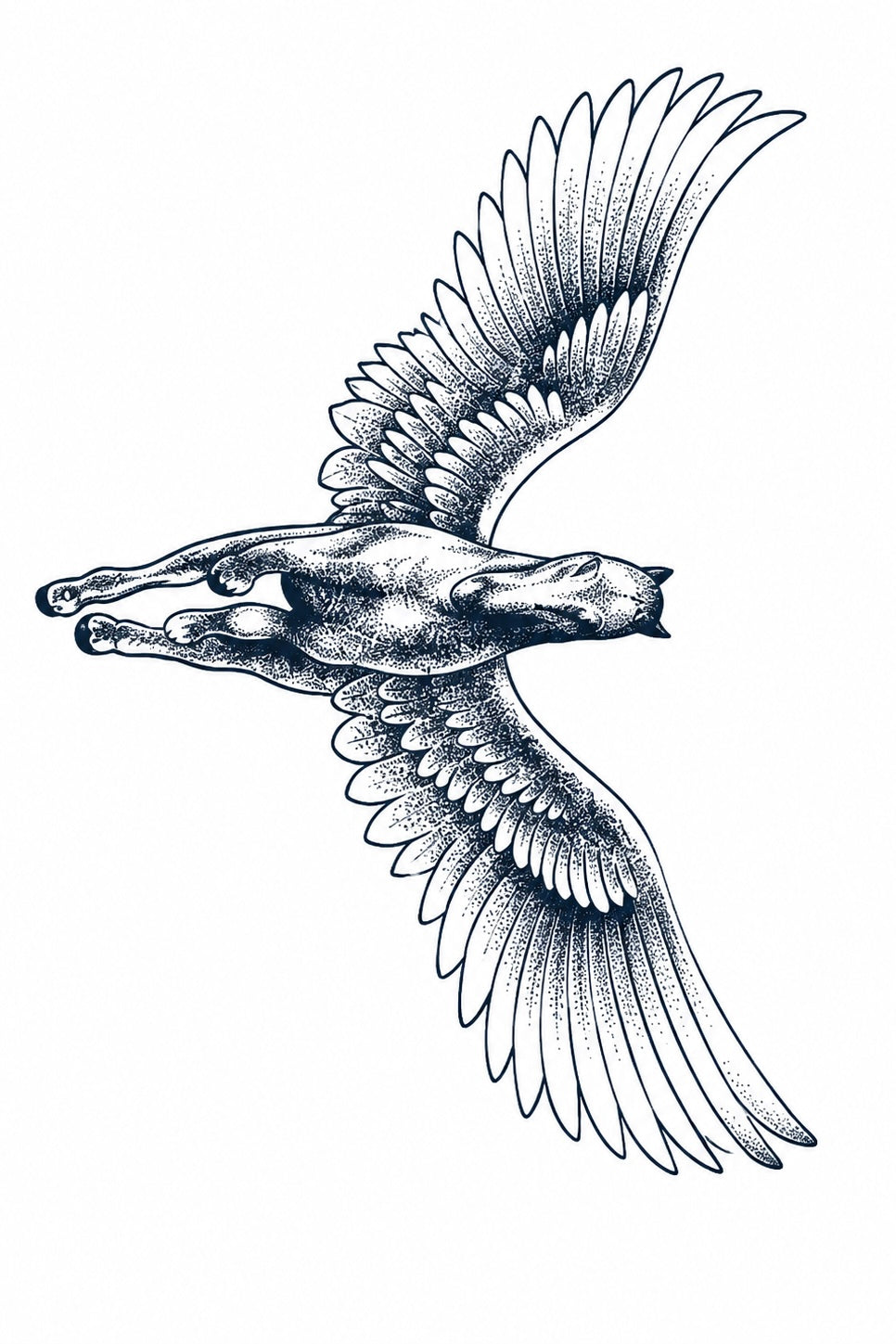 Eagle & Freedom