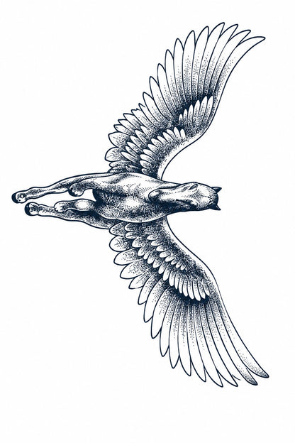 Eagle & Freedom