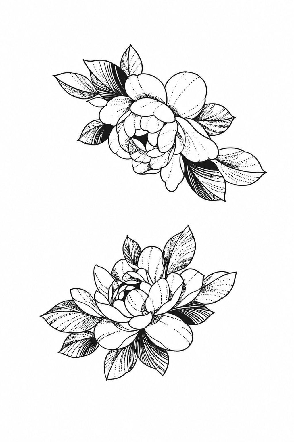 Lotus Elegance