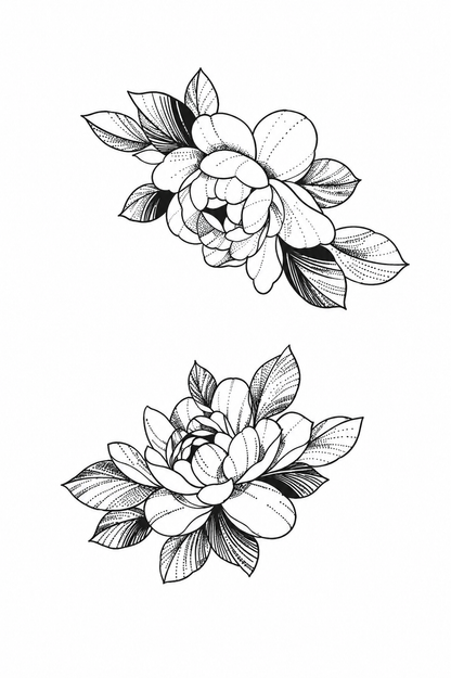 Lotus Elegance